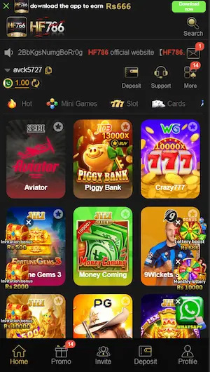 HF786 Game